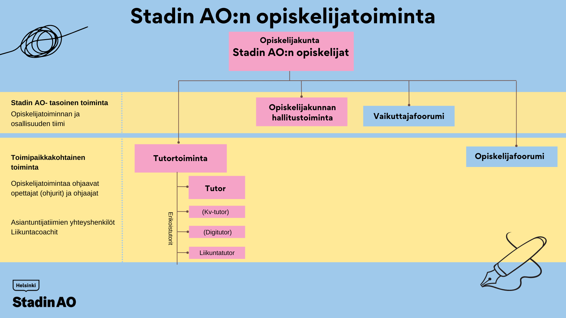 Stadin AO:n opiskelijatoiminnan rakenne. Kaikki opiskelijat ovat osa opiskelijakuntaa. Opiskelijakuntatoiminta jakautuu opiskelijakunnan hallitukseen ja tutortoimintaan. Toimintaa ohjaavat opiskelijatoiminnan ohjaavat opettajat.